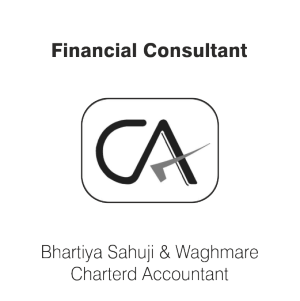 Financial Consultant